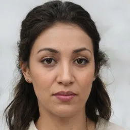 Trần Minh Đức avatar